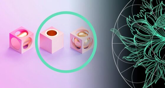 How Does Blockchain Work? Blocks, Miners, Nodes - Decentralization