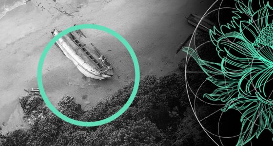 Hurricane Beryl's Impact on Insurance Industry: Loss Forecasts