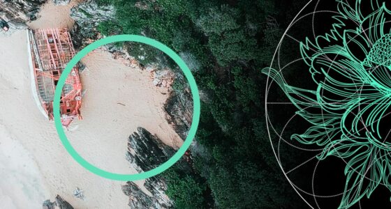 Sovereign Green & Catastrophe Bond Overview: Debt Instruments for Insurers