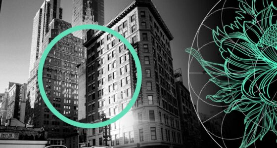 M&A Transactions in the Global Reinsurance Sector will be Limited