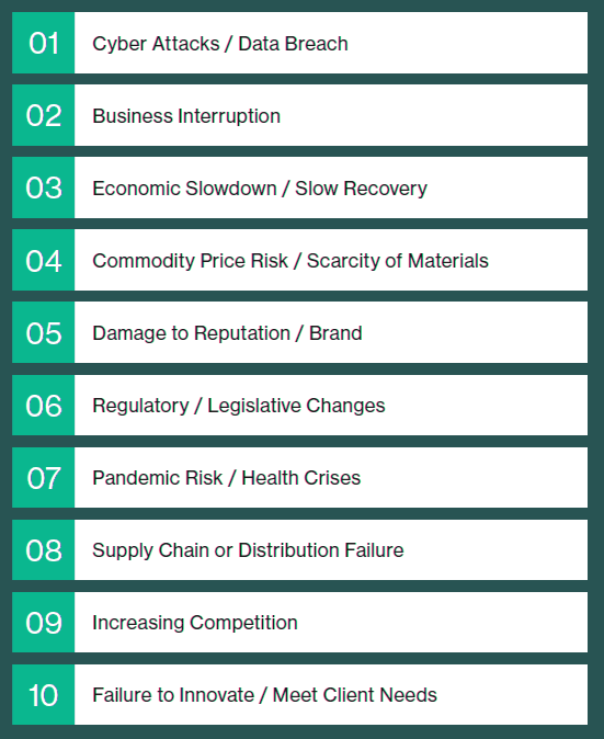 Respondents selected and rated 10 top risks that their organizations were facing