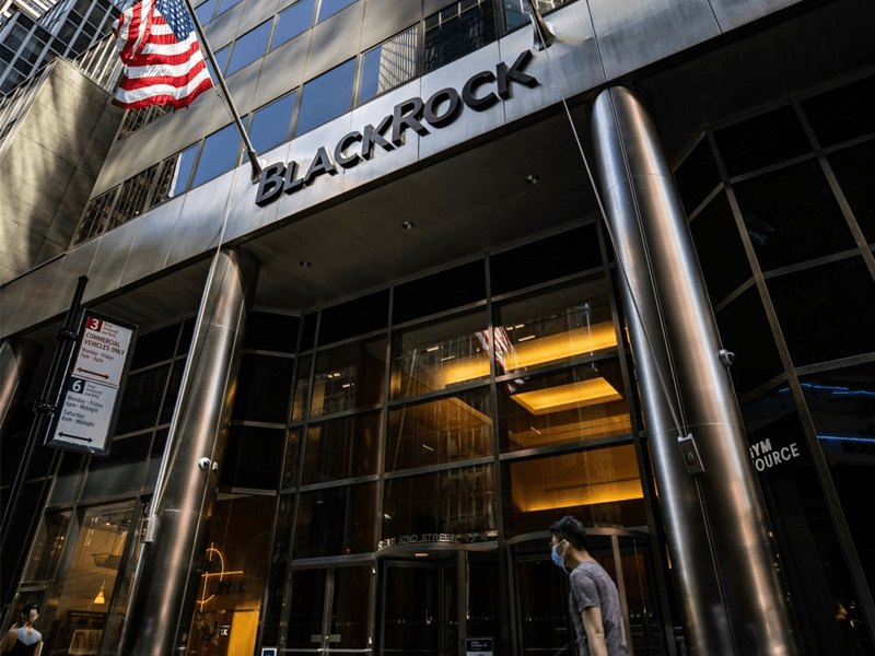 The Great Moderation. BlackRock`s Global Invest & Macroeconomic Outlook
