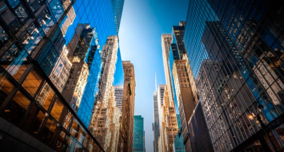 commercial P&C (non-life) insurance