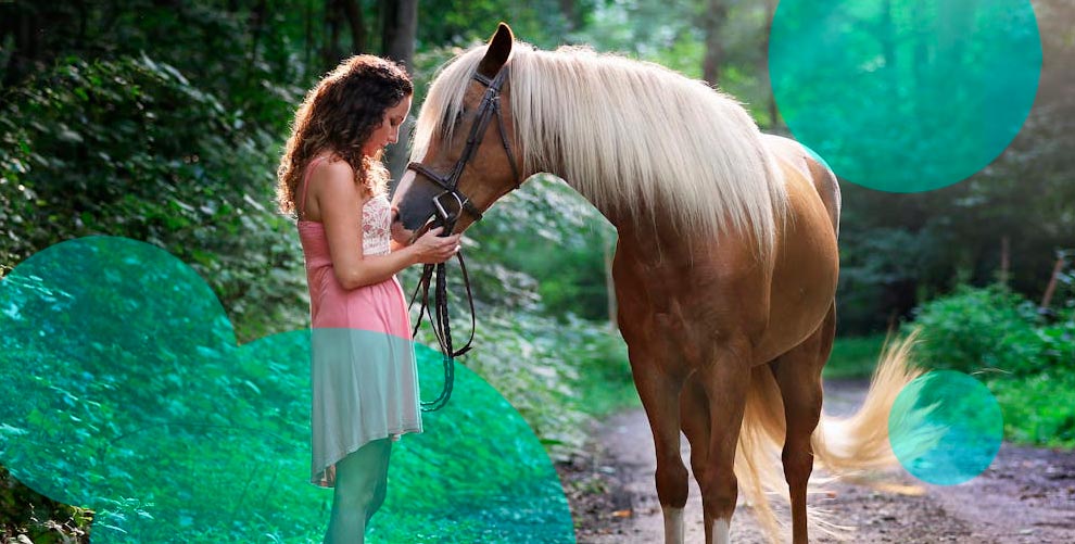 What Does Horse Insurance Cover?
