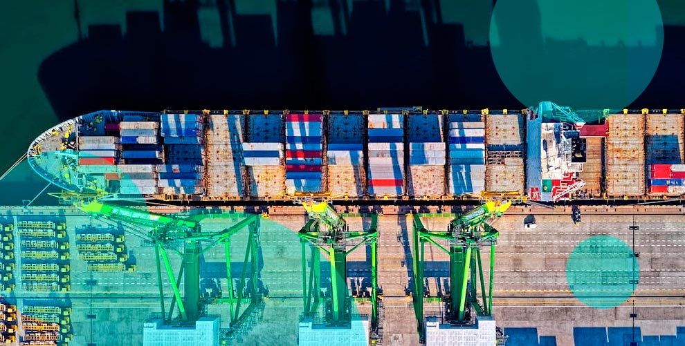 What does cargo insurance exclude and include?