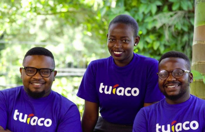 Insurtech Turaco raises $10mn funding from Series A