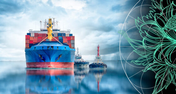 Marine & Cargo Insurance Market Outlook. Top Causes of Claims in Marine Insurance