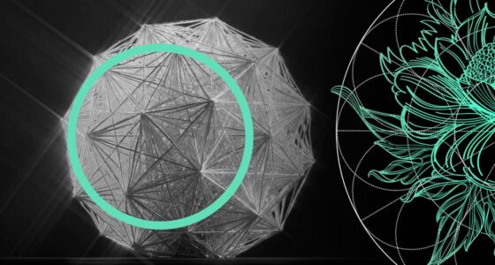 InsurTech Outlook: Moving from Infrastructure Investment to Value