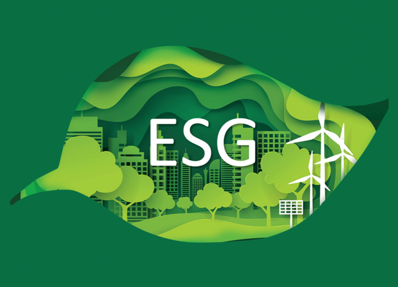 How Insurers Can Embed ESG into Finance