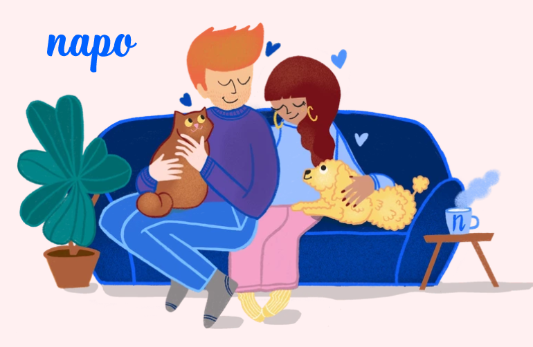 Pet insurance startup Napo