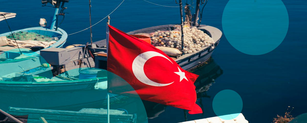 Türkiye introduces a new insurance requirement for arriving travelers & immigrants