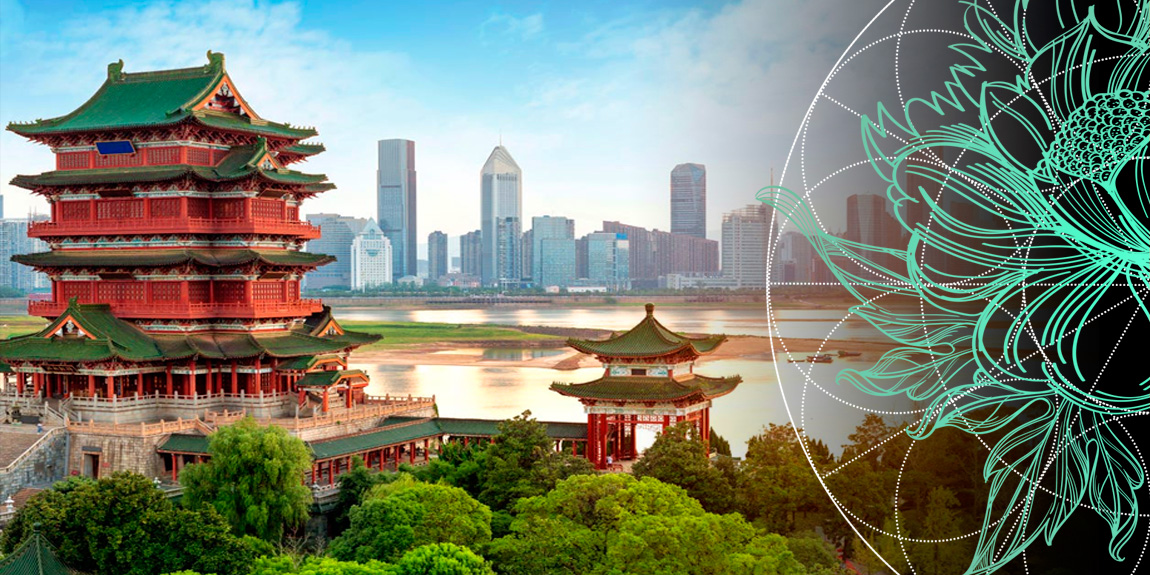 China Life & Non-Life Insurance