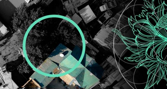 Average Losses of Higher-Risk Focused ILS Funds Increased After Hurricane Ian