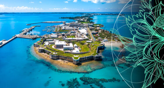 TOP 20 Reinsurance Companies in Bermuda