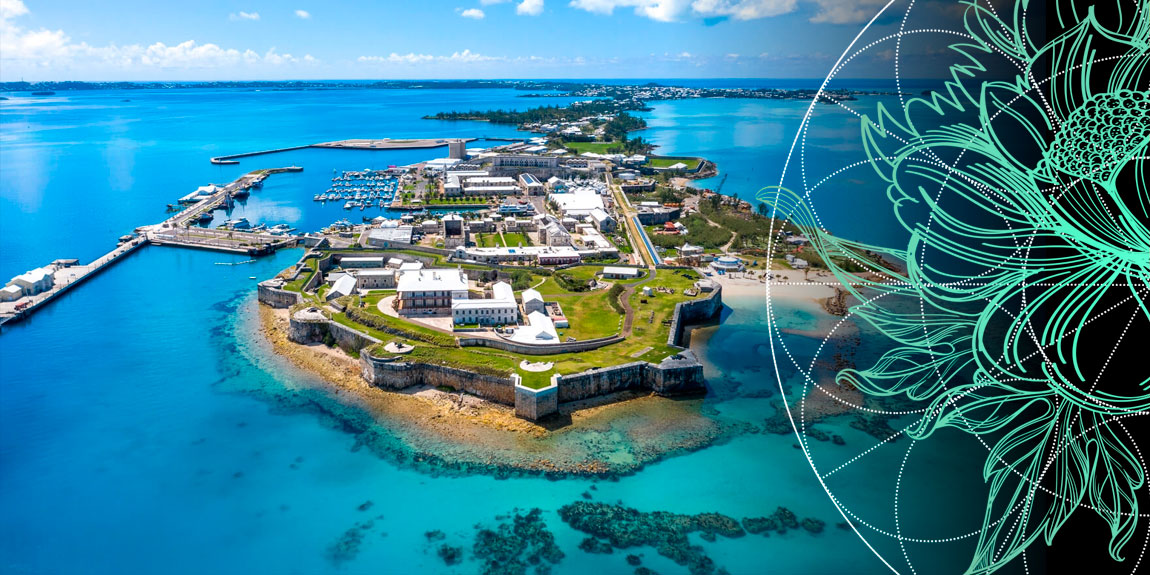 TOP 20 Reinsurance Companies in Bermuda