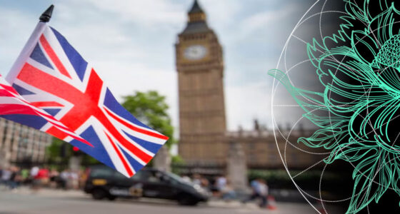 TOP 10 Largest UK Car Insurance Companies