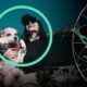 What is the Cost of Pet Insurance and What Does the Insurance Policy Cover?