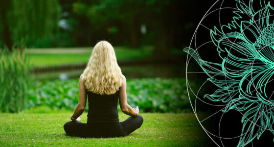 5 Lessons How Insurance Provides Stability & Predictability of the World