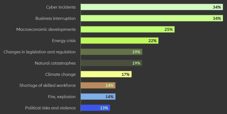 10 Most Important Global Business Risks for 2024