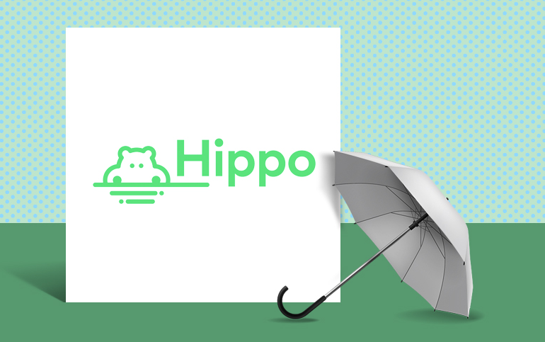 Insurtech Hippo Insurance placed of reinsurance program' 2023