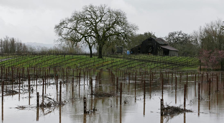 Private Flood Insurance in California Accounts for over 40% of Entire Flood Market