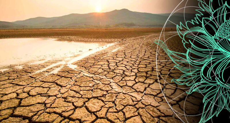 Worldwide Droughts: Listing of Global Events & Economic Loss