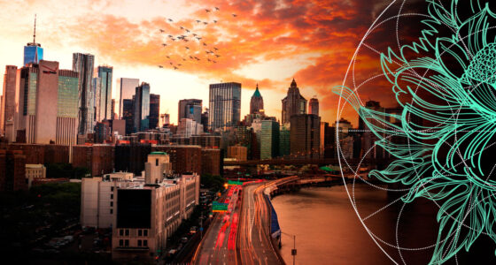 Commercial Insurance & Reinsurance Market Outlook: Сapital & Global Premiums