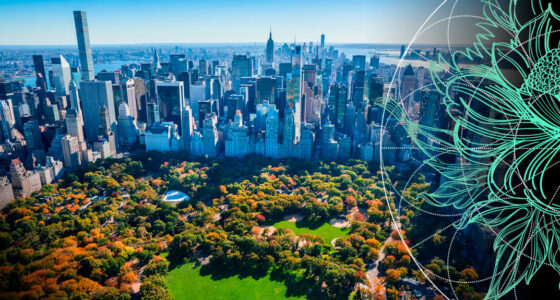 Global Commercial Property & Casualty Insurance Market Review