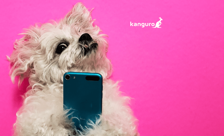 Insurtech Kanguro launches pet insurance in Florida