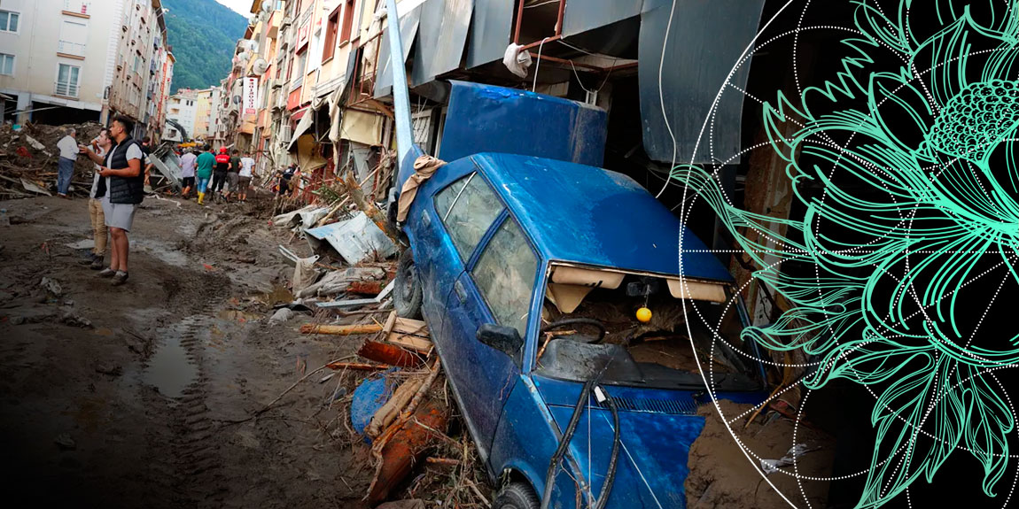 Natural Catastrophes Drivers. 6 Main Lessons Learned for Insurance Industry