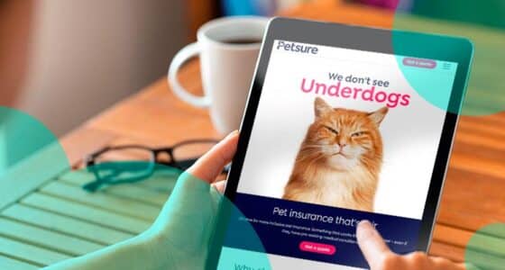 Insurtech PetSure granted a standalone general insurance licence in Australia