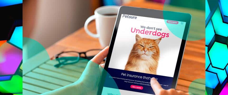 Insurtech PetSure granted a standalone general insurance licence in Australia