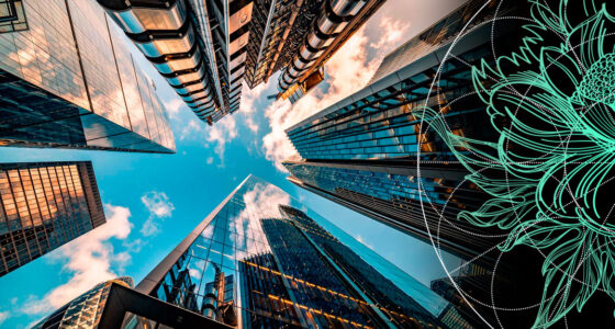 Value of Global Private Equity Deals with Sovereign Wealth Fund Investment