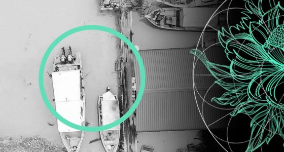 ILS, Cat Bond & Post Hurricane Ian Reinsurance Market Update