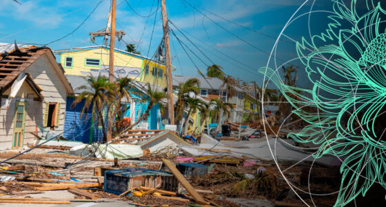 ILS, Cat Bond & Post Hurricane Ian Reinsurance Market Update