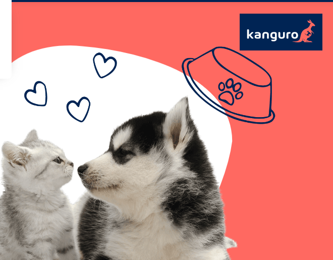 InsurTech Kanguro launches health insurance for pets