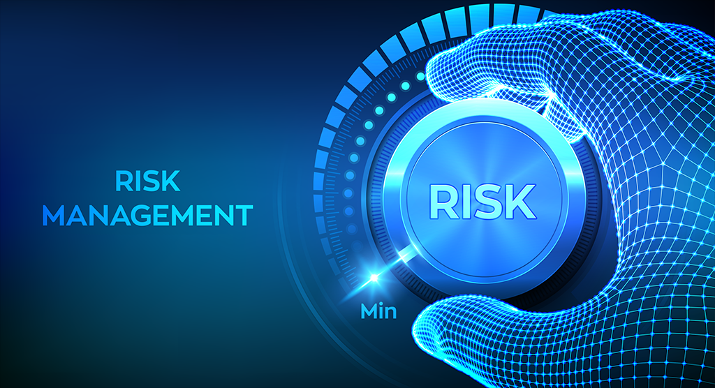 Embedding a Comprehensive Risk Management Framework