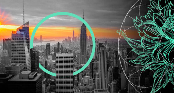 Top Ranking the World’s Largest Insurance Markets