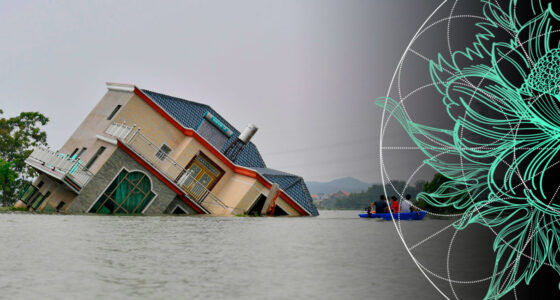 Global Reinsurance Property Catastrophe Market Outlook