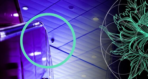 New Trends of Cloud Services – SaaS, IaaS, PaaS, Serverless