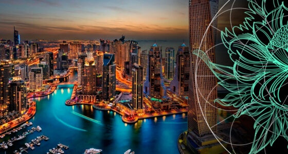 Insurance Market in UAE Outlook: Premium & Net Profit