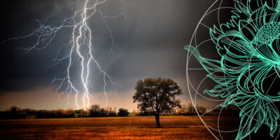 Lightning-Caused U.S. Homeowners Insurance: Claims & Losses