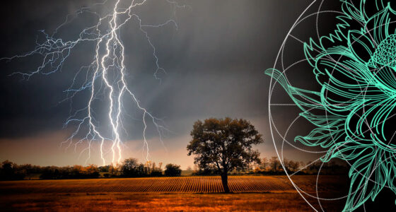 Lightning-caused homeowners insurance. Top 10 States for losses