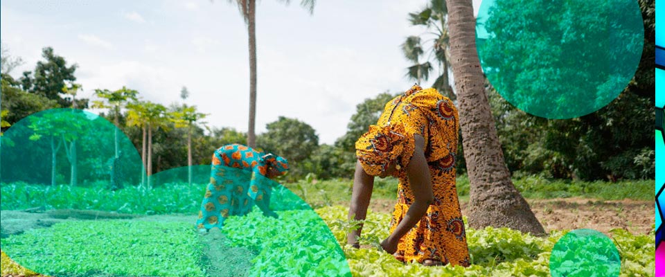 African Risk Capacity Group launches a parametric insurance for Africa
