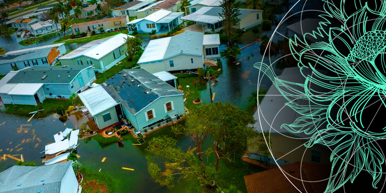 Home Insurance Can Make Homeowners Resilient to Weather & Hurricane Loss