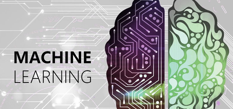 The Human-Machine Learning Loop