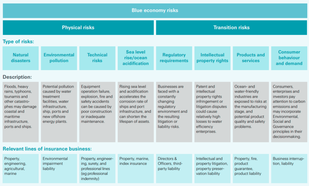 Blue economy physical and transition risks, and associated risk factors