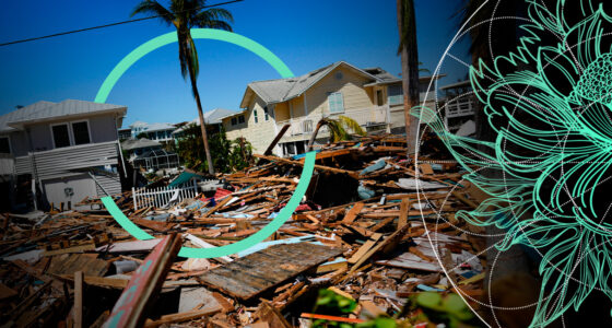 Main Factors of the Increase of Insurance Losses from Natural Disasters