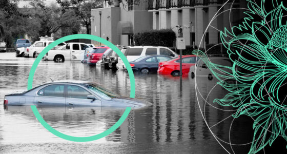 U.S. Insured Losses from Hurricanes Have Risen over the 15 Years