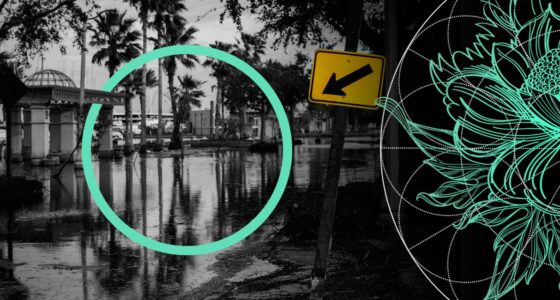 Major Natural Disaster Eventsand Insurance Loss Insights in APAC Regions